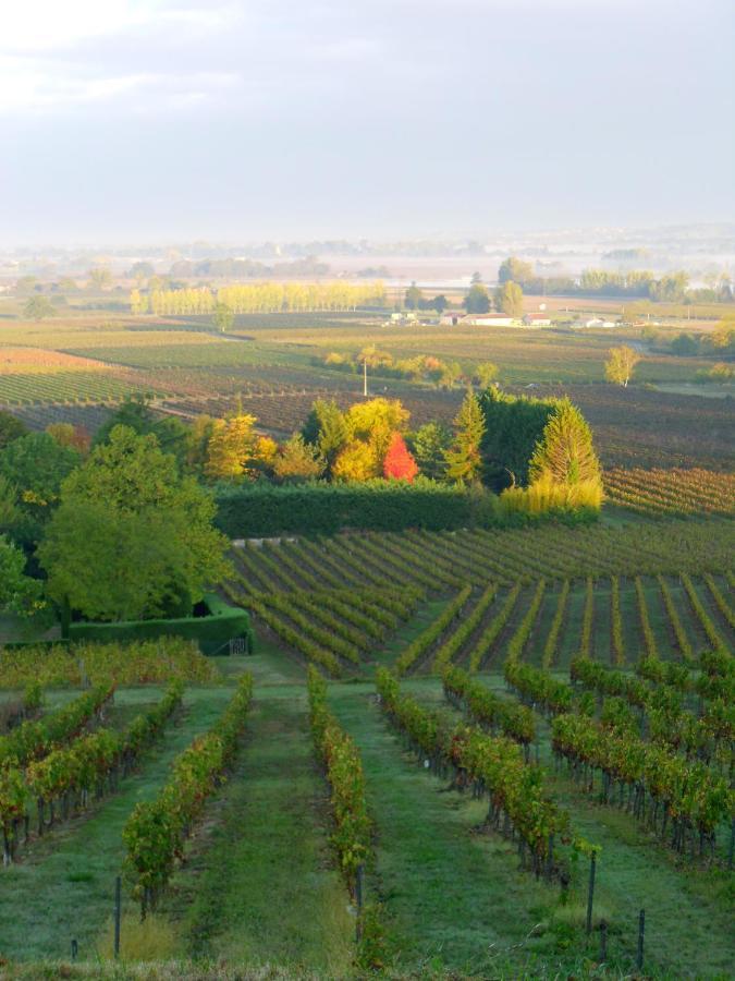 Romantic Gite Nr St Emilion With Private Pool And Views To Die For Pujols  Exterior foto