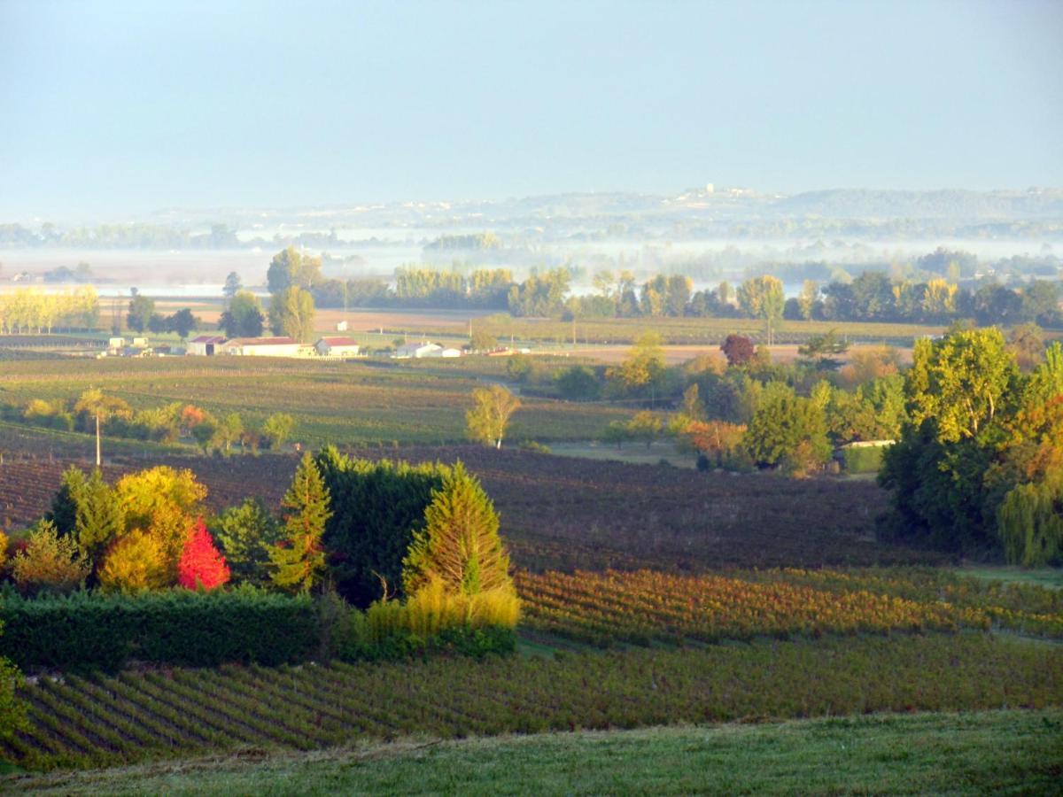 Romantic Gite Nr St Emilion With Private Pool And Views To Die For Pujols  Exterior foto